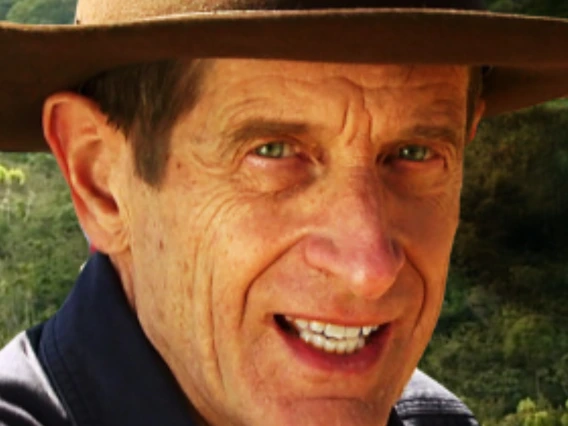 David Yetman