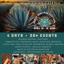 17th agave fest flyer